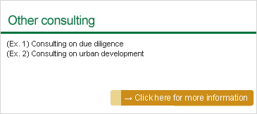 Other consulting: (Ex. 1) Consulting on due diligence (Ex. 2) Consulting on urban development