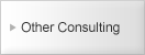 Other Consulting