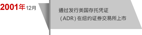 2001年12月 通过发行美国存托凭证（ADR）在纽约证券交易所上市