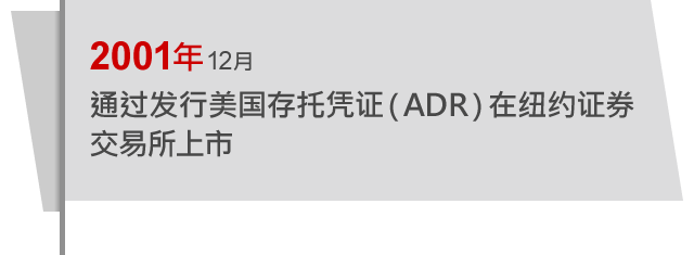 2001年12月 通过发行美国存托凭证（ADR）在纽约证券交易所上市