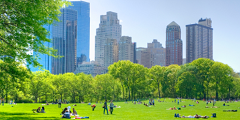 Sustainability Research