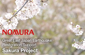 Sakura Project, April 2024