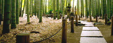 Advancing Nomura's Sustainability Research