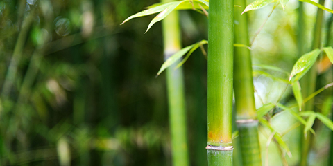 写真：社外取締役対談