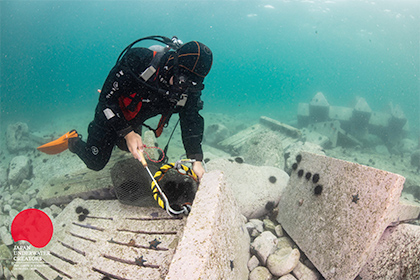 写真：「Ishinomaki Save the Ocean Project（ISOP）のイメージ」へのリンク