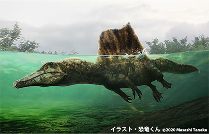 イラスト：白亜紀後期にアフリカに生息したスピノサウルス