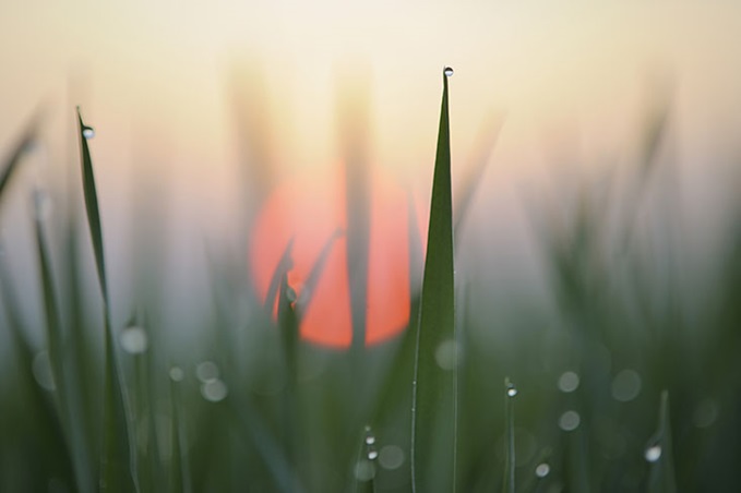 野村サステナビリティ・ウィーク2025：「サステナビリティはどこに向かうのか－米国、欧州、そして日本－」