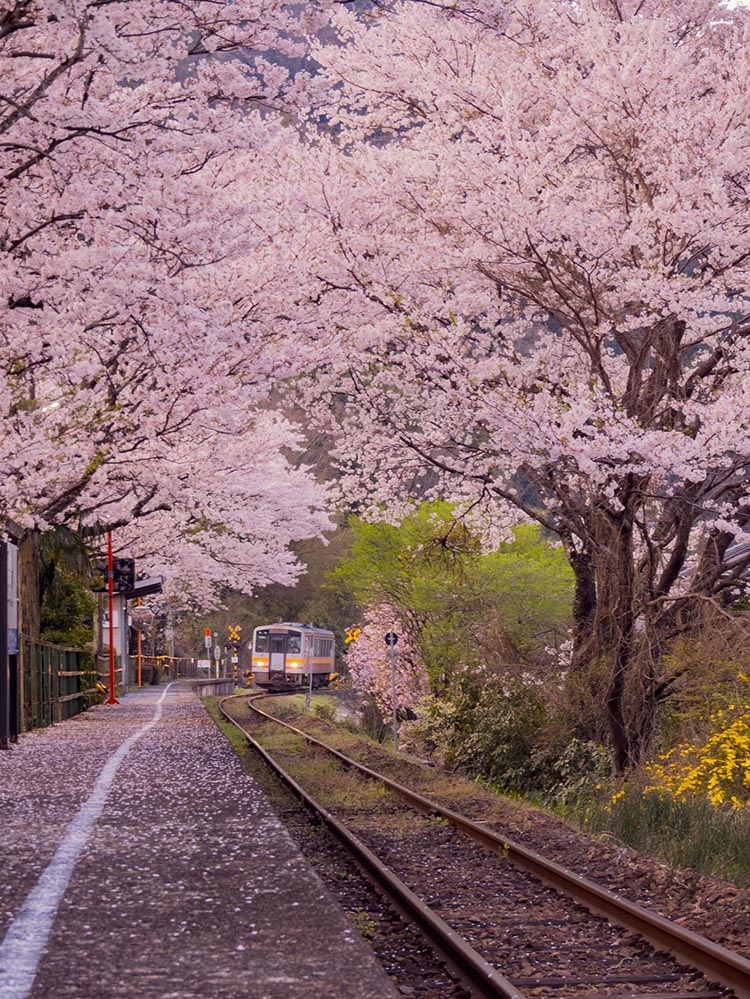 Photo by Yuko Ishihara