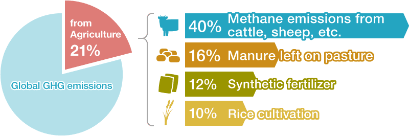 Emissions of Greenhouse Gases (GHG) from Agriculture, by Source at Global Level