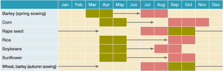 Production cycle of Ukraine's main crops