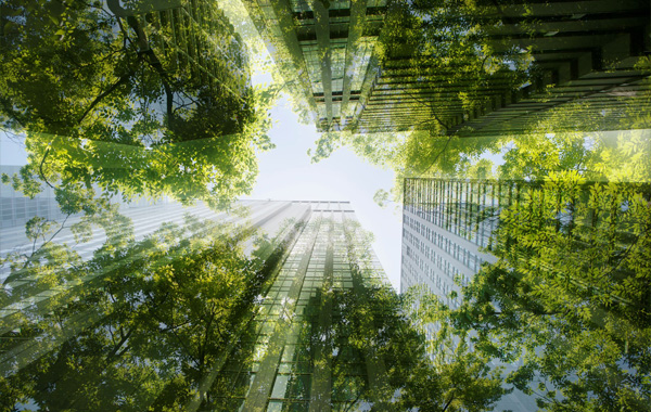 Toward Achieving Net Zero Emissions